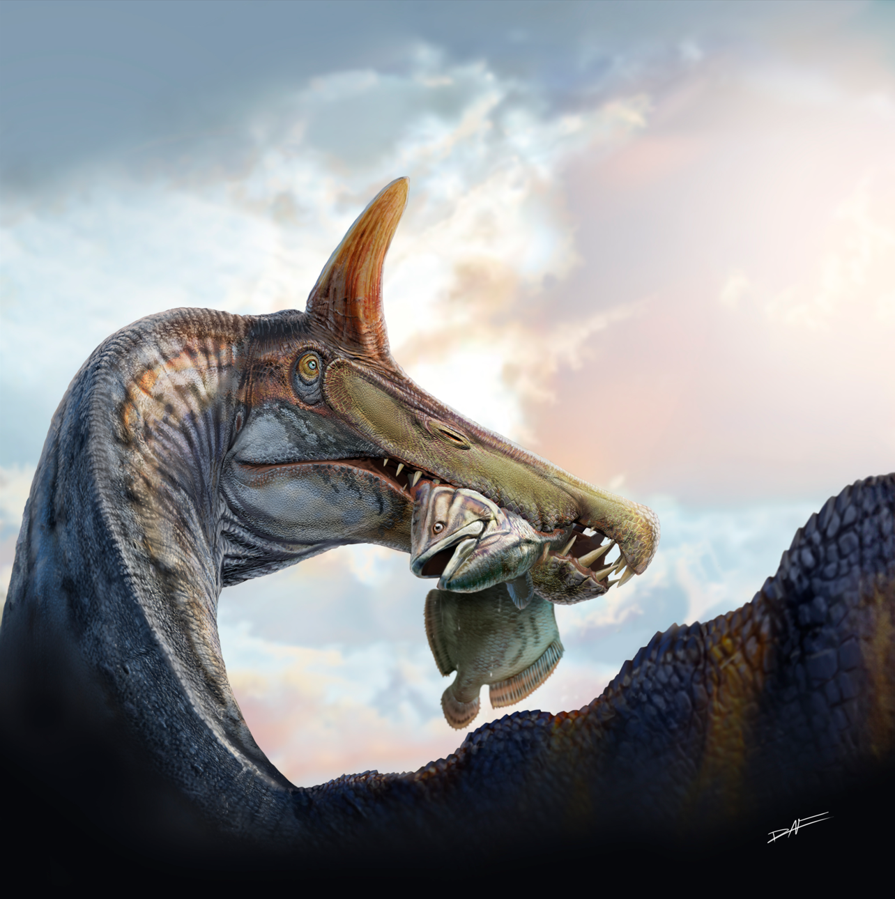 New ‘scimitar-crested’ Spinosaurus species discovered in the central Sahara